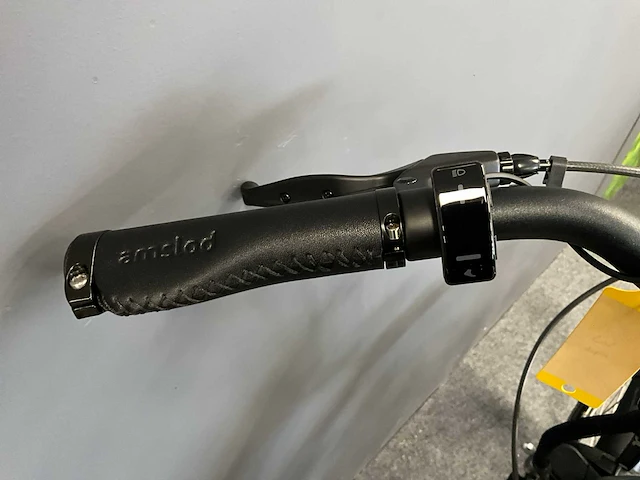 Amslod hamilton f-mv elektrische fiets - afbeelding 8 van  11