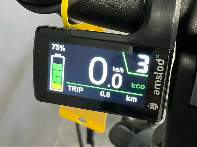 Amslod hamilton f-mv elektrische fiets - afbeelding 10 van  11