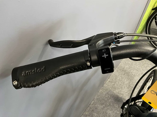 Amslod hamilton f-mv elektrische fiets - afbeelding 8 van  11