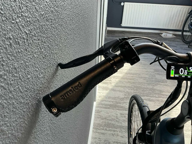 Amslod hamilton f-mv elektrische fiets - afbeelding 9 van  11