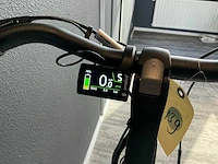 Amslod hamilton f-mv elektrische fiets - afbeelding 11 van  11