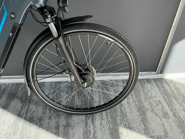 Amslod hamilton f-mv elektrische fiets - afbeelding 4 van  11