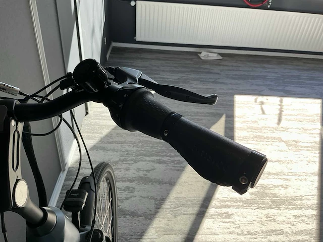 Amslod hamilton f-mv elektrische fiets - afbeelding 10 van  11