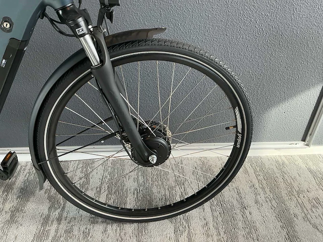 Amslod hamilton f-mv elektrische fiets - afbeelding 4 van  11