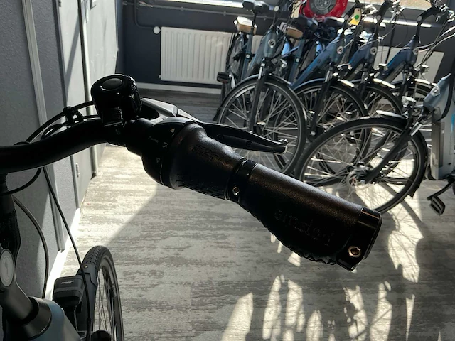 Amslod hamilton f-mv elektrische fiets - afbeelding 10 van  11