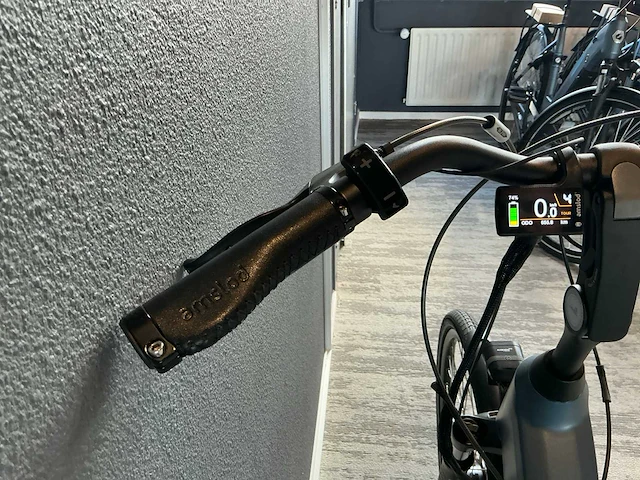 Amslod hamilton f-mv elektrische fiets - afbeelding 9 van  11