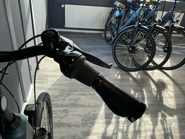 Amslod hamilton f-mv elektrische fiets - afbeelding 10 van  11