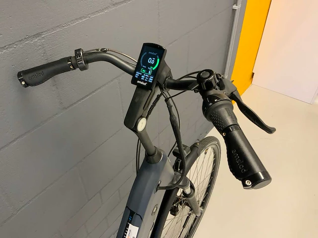Amslod hedon e-lv elektrische fiets - afbeelding 5 van  7