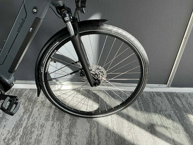 Amslod hedon e-lv elektrische fiets - afbeelding 4 van  11