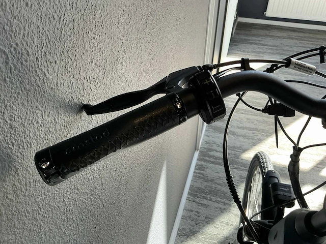 Amslod hedon e-lv elektrische fiets - afbeelding 9 van  11
