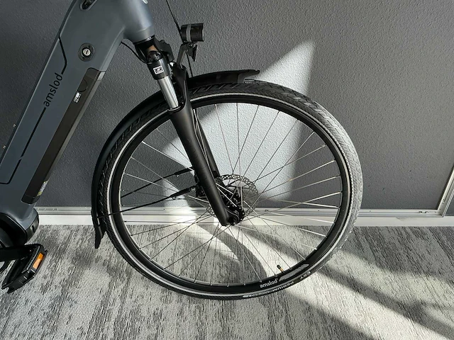 Amslod hedon e-lv elektrische fiets - afbeelding 4 van  11