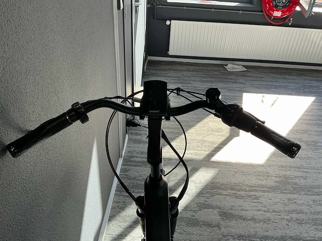 Amslod hedon e-lv elektrische fiets - afbeelding 8 van  11