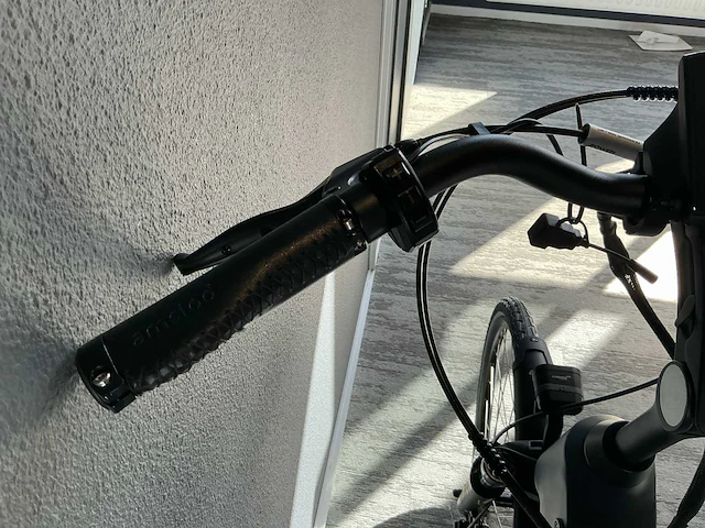 Amslod hedon e-lv elektrische fiets - afbeelding 9 van  11