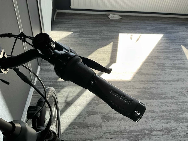 Amslod hedon e-lv elektrische fiets - afbeelding 10 van  11