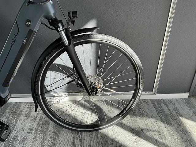 Amslod hedon e-lv elektrische fiets - afbeelding 4 van  11