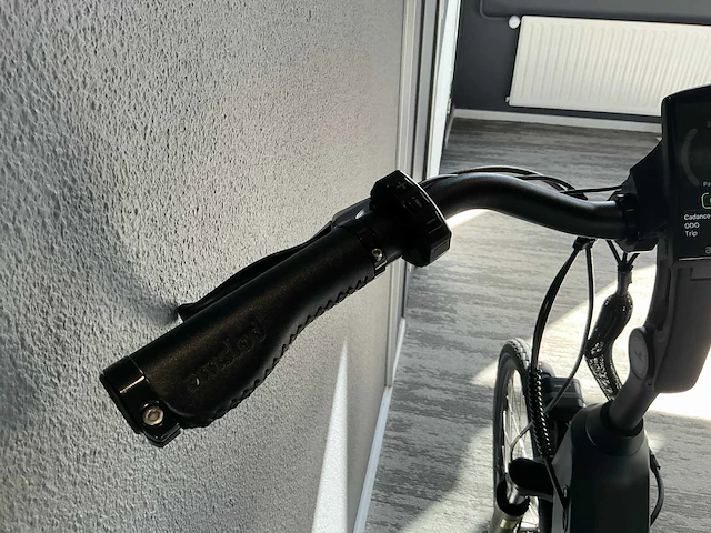 Amslod hedon e-lv elektrische fiets - afbeelding 9 van  11