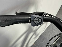 Amslod hilston e-ld elektrische herenfiets 59cm - afbeelding 10 van  11
