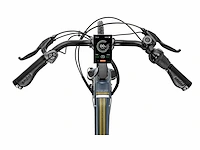 Amslod hilston e-ld elektrische herenfiets 59cm - afbeelding 7 van  11