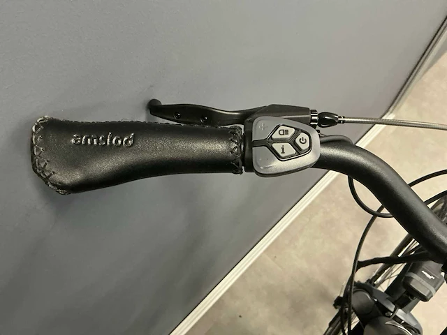 Amslod hilston lrx elektrische herenfiets 59cm - afbeelding 11 van  12