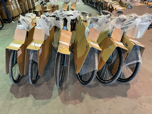 Amslod kent e-ld “b-keus” elektrische damesfiets 59cm (6x) - afbeelding 8 van  14