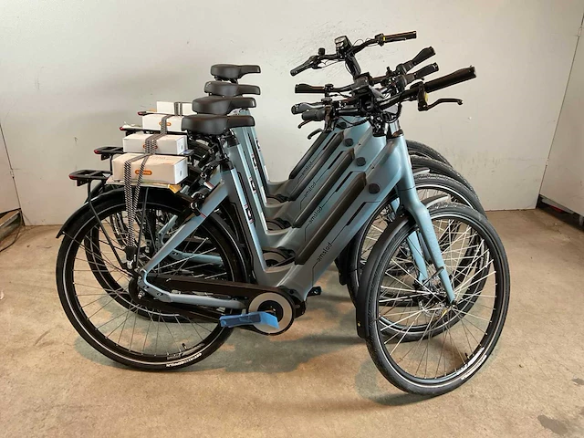 Amslod kent e-ld elektrische damesfiets (4x) - afbeelding 2 van  6