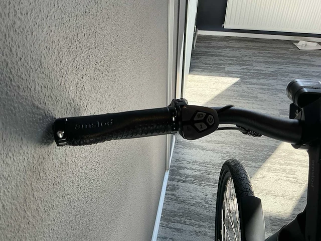 Amslod kent e-ld elektrische fiets - afbeelding 9 van  11
