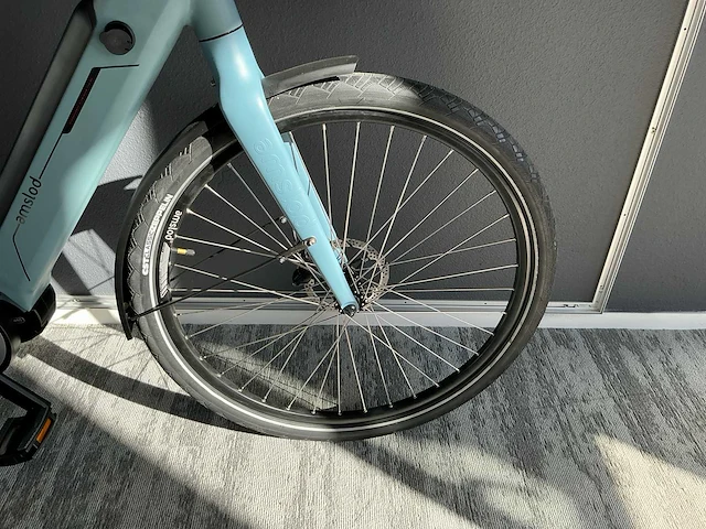 Amslod kent e-ld elektrische fiets - afbeelding 4 van  11