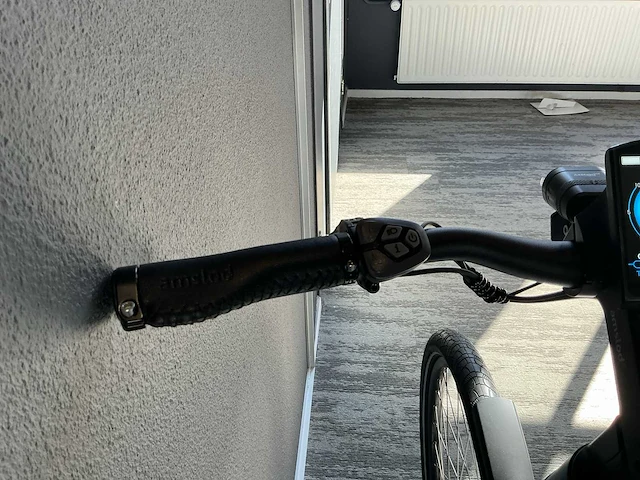 Amslod kent e-ld elektrische fiets - afbeelding 9 van  11