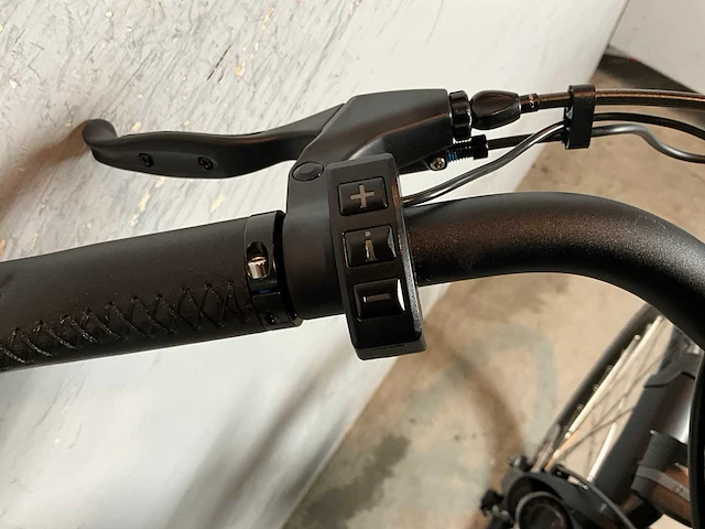 Amslod luton e-mv-540 elektrische damesfiets 52cm - afbeelding 7 van  9