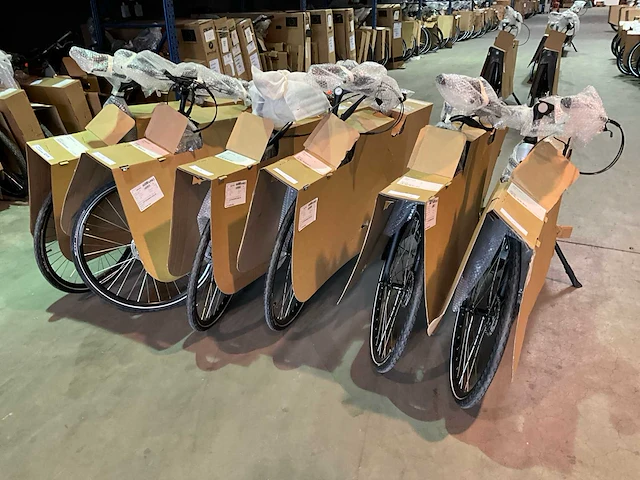 Amslod luton e-mv “b-keus” elektrische damesfiets 52cm (6x) - afbeelding 7 van  15