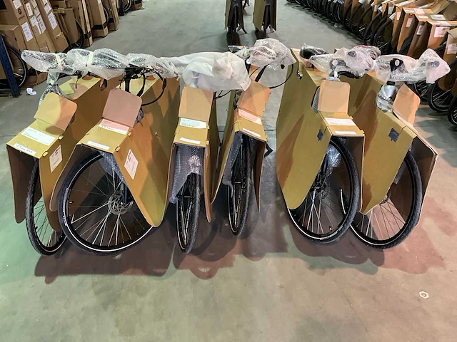 Amslod luton e-mv “b-keus” elektrische damesfiets 52cm (6x) - afbeelding 8 van  15
