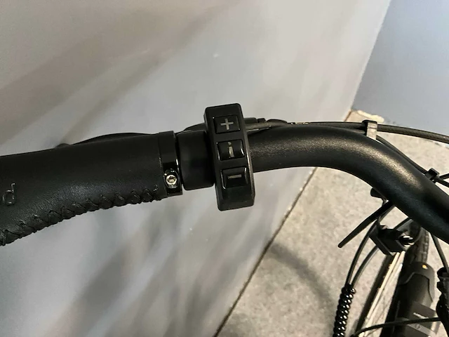Amslod luton e-mv elektrische damesfiets 52cm - afbeelding 8 van  10