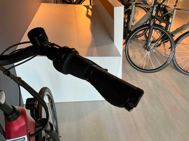 Amslod milton e-mv elektrische fiets - afbeelding 10 van  11