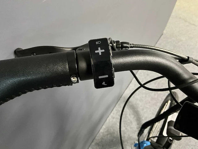 Amslod newton f-lv elektrische damesfiets - 58cm (zonder accu) - afbeelding 9 van  11