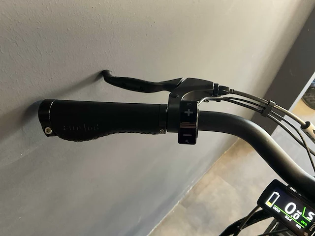 Amslod newton f-lv elektrische damesfiets 58cm - afbeelding 8 van  9