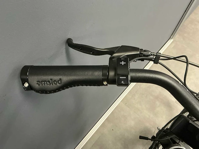 Amslod newton f-lv elektrische damesfiets 59cm (geen accu) - afbeelding 12 van  13