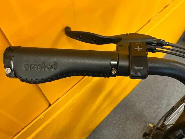 Amslod newton f-lv elektrische damesfiets 59cm - afbeelding 11 van  12