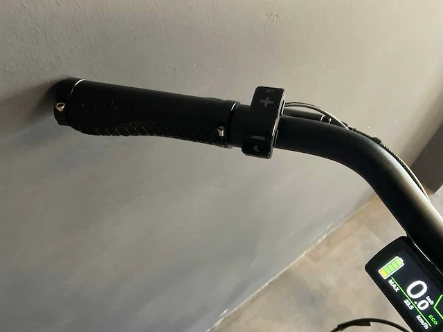 Amslod newton f-lv elektrische damesfiets 59cm - afbeelding 11 van  11