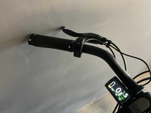 Amslod newton f-lv elektrische damesfiets 59cm - afbeelding 7 van  8
