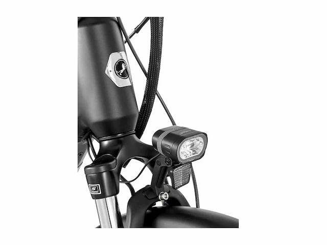 Amslod newton f-lv elektrische damesfiets 59cm - afbeelding 4 van  8
