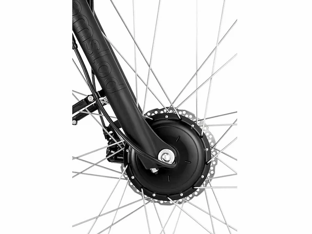Amslod newton f-lv elektrische damesfiets 59cm - afbeelding 8 van  8