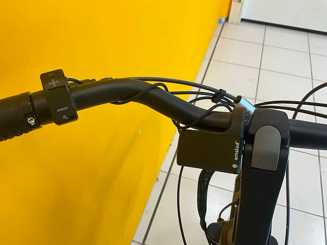 Amslod newton f-lv elektrische damesfiets 59cm - afbeelding 8 van  8