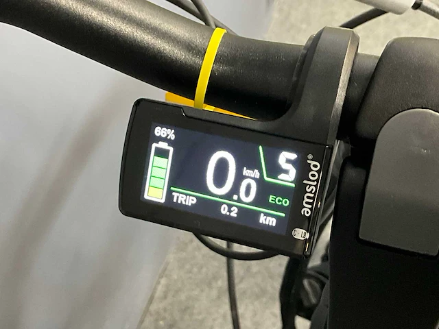 Amslod newton f-lv elektrische fiets - afbeelding 10 van  12