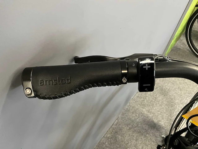 Amslod newton f-lv elektrische fiets - afbeelding 8 van  12
