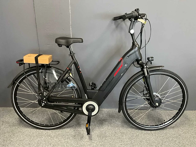 Amslod newton f-lv elektrische fiets - afbeelding 1 van  12