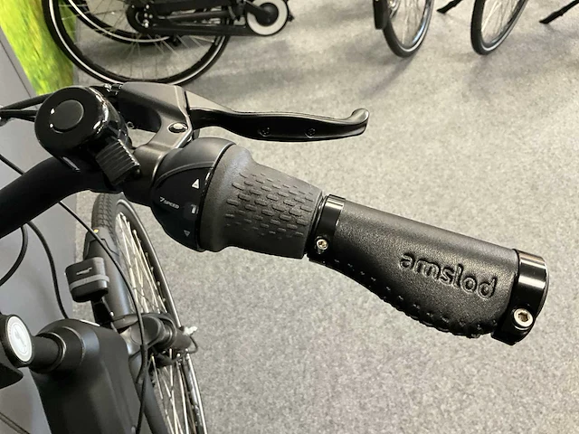 Amslod newton f-lv elektrische fiets - afbeelding 7 van  12