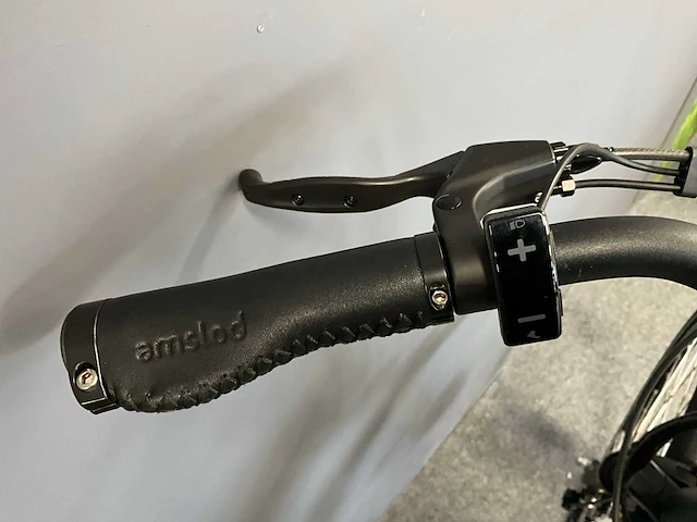 Amslod newton f-lv elektrische fiets - afbeelding 8 van  12