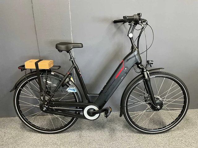 Amslod newton f-lv elektrische fiets - afbeelding 1 van  12