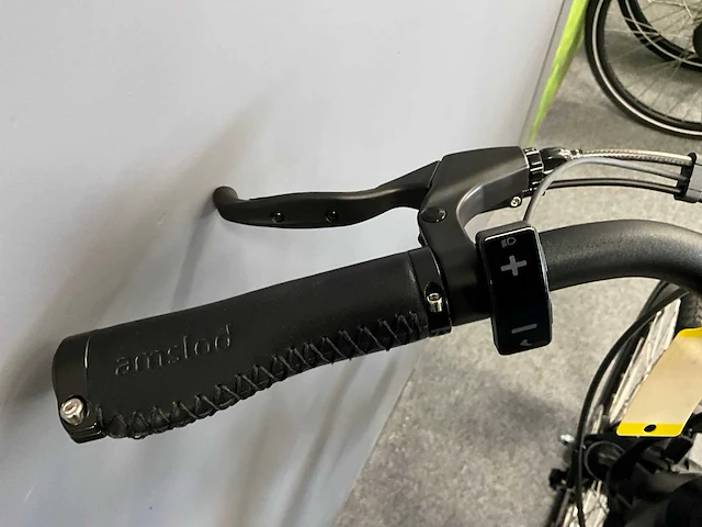 Amslod newton f-lv elektrische fiets - afbeelding 8 van  12