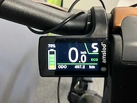 Amslod newton f-lv elektrische fiets - afbeelding 10 van  12